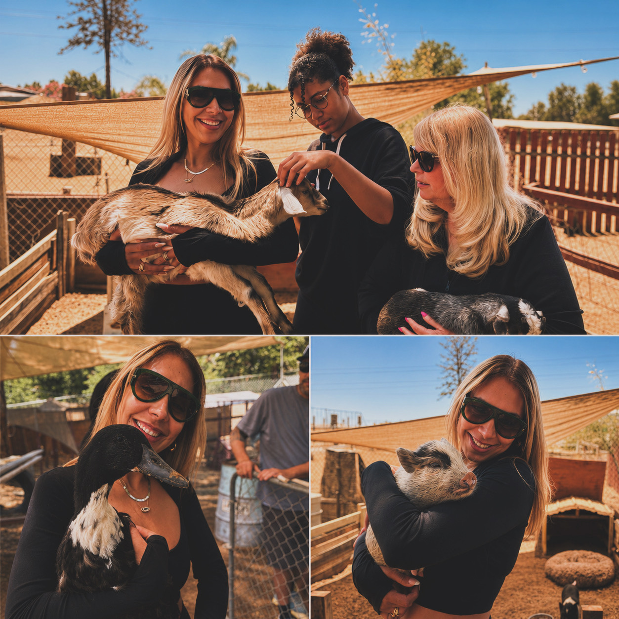Guests holding baby goats and a mini pig at the ranch petting zoo